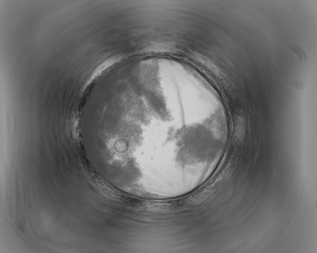 X0000112971258200909241319