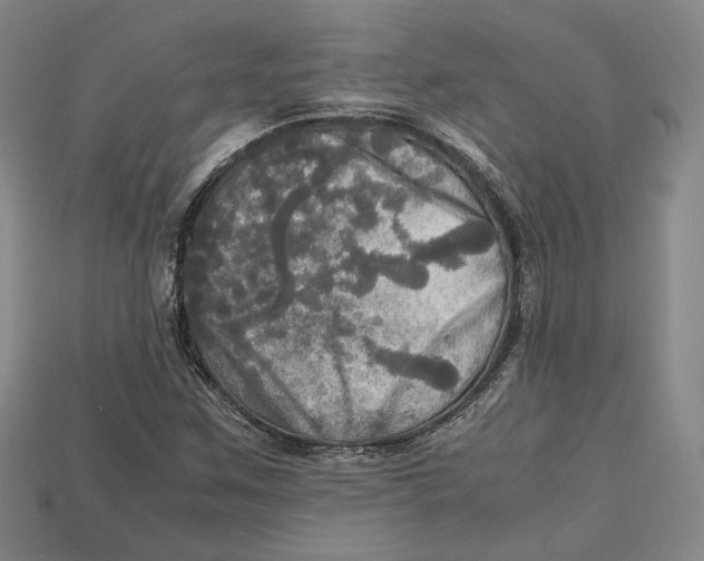 X0000112971259200909241319