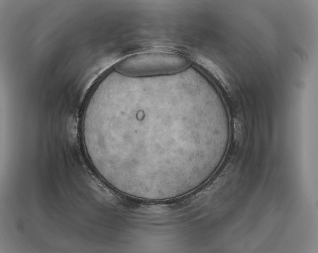 X0000112971260200909241319