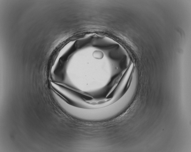 X0000112971261200909241319
