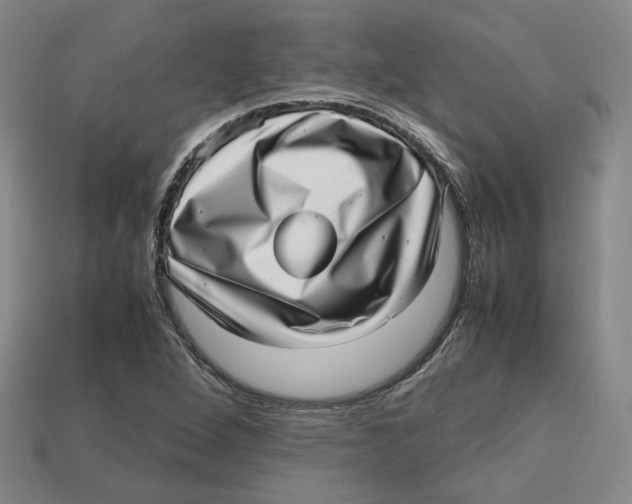 X0000112971264200909241319