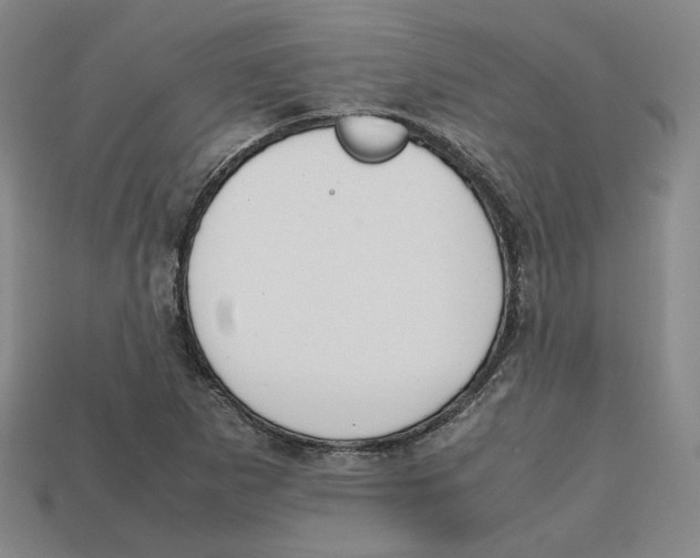 X0000112971265200909241319