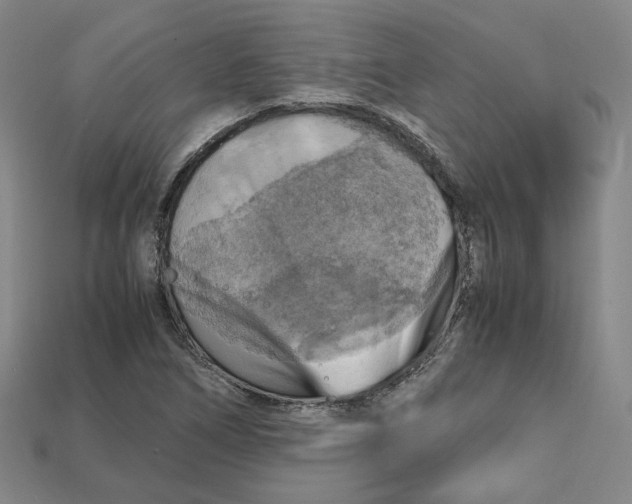 X0000112971266200909241319