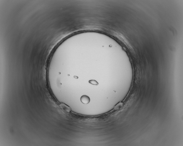 X0000112971268200909241319
