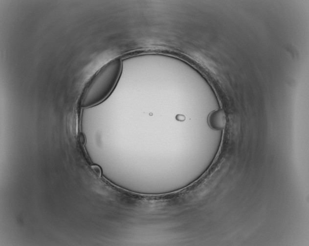 X0000112971269200909241319