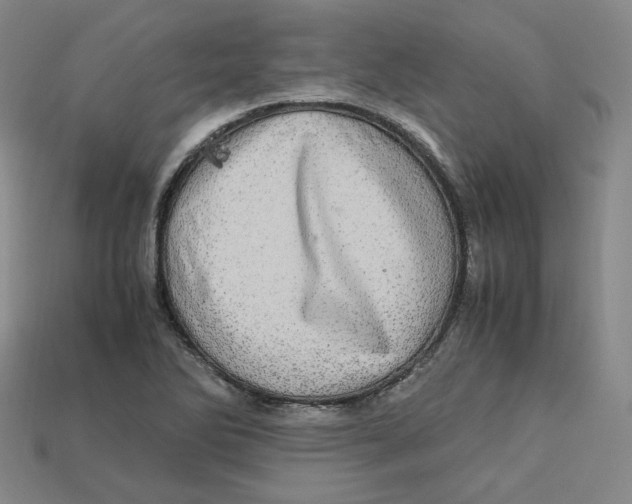 X0000112971270200909241319