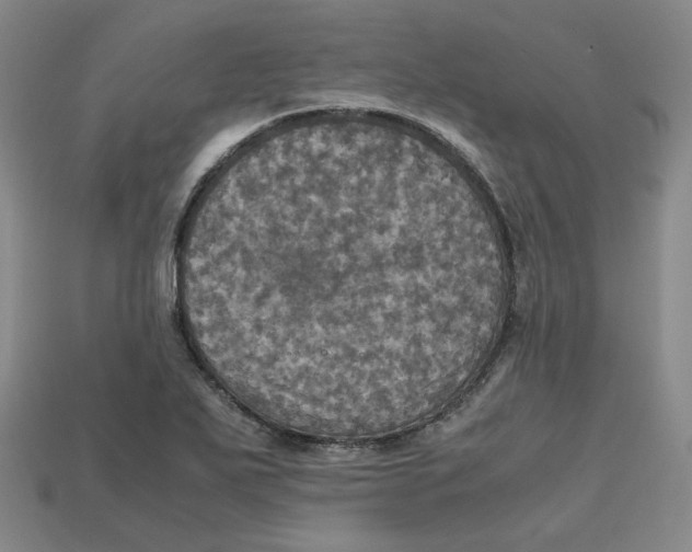 X0000112971271200909241319