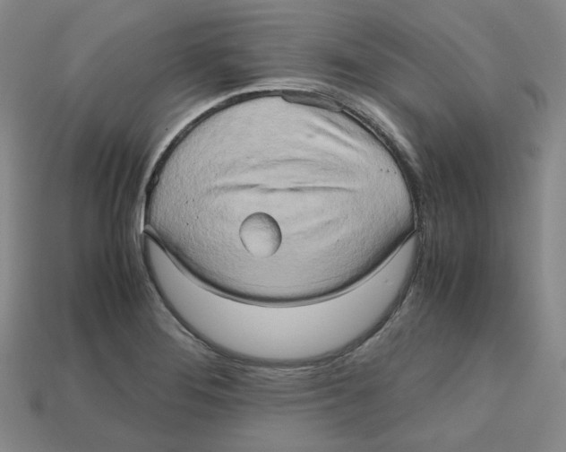 X0000112971276200909241319