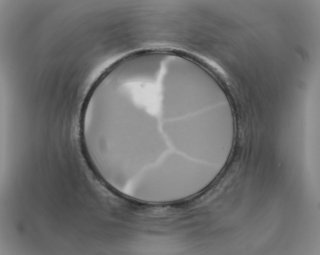 X0000112971279200909241319