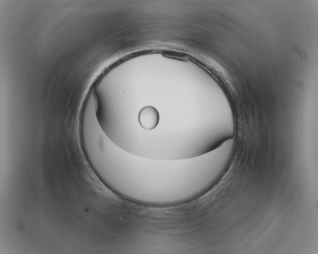 X0000112971280200909241319