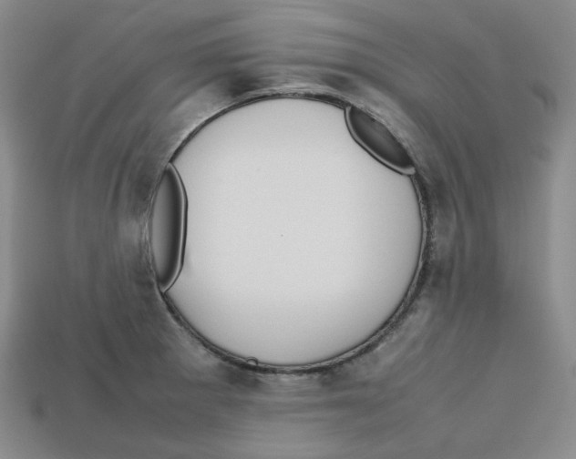 X0000112971281200909241319