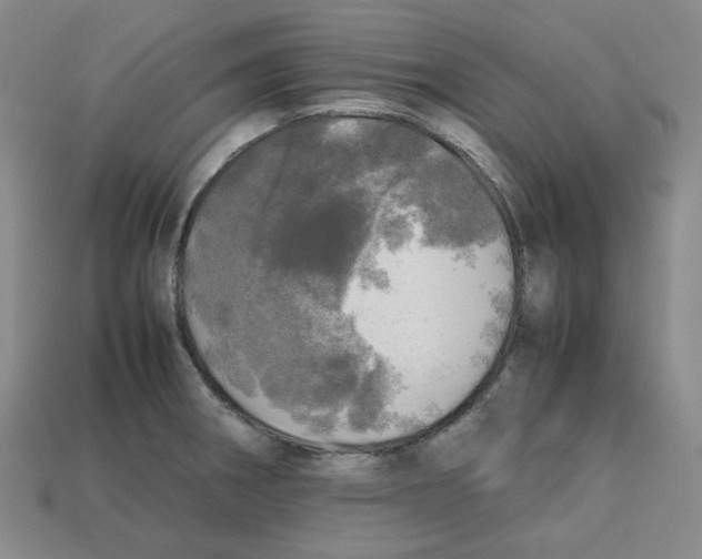 X0000112971282200909241319