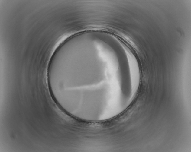 X0000112971283200909241319