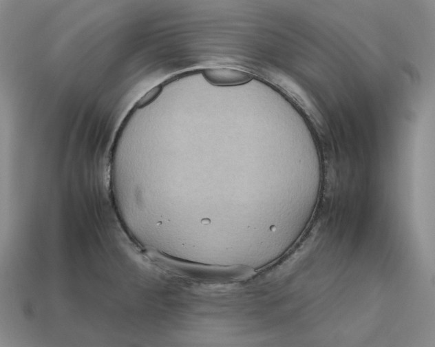 X0000112971284200909241319