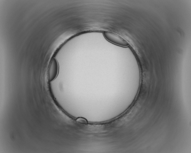 X0000112971285200909241319