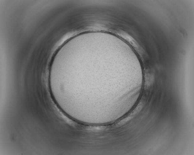 X0000112971286200909241319
