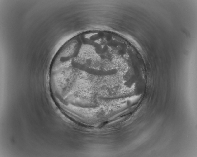 X0000112971287200909241319
