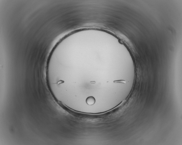 X0000112971288200909241319