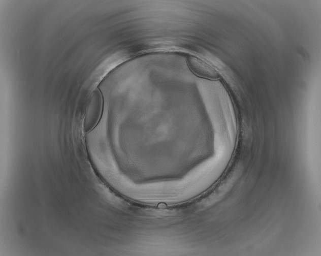 X0000112971289200909241319