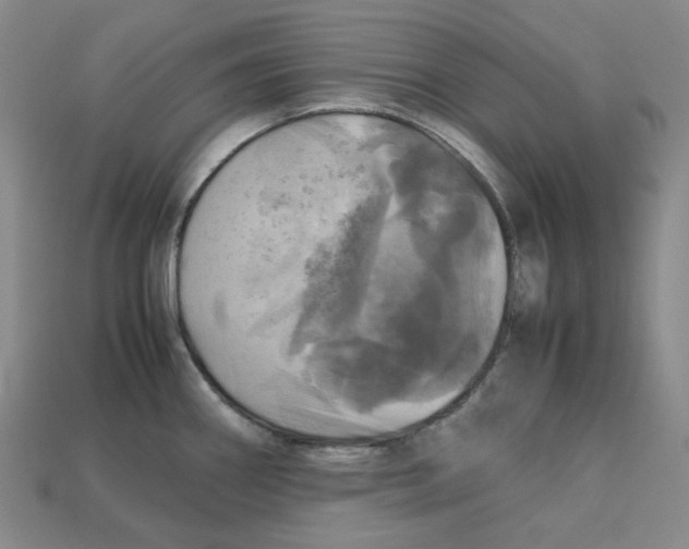 X0000112971290200909241319