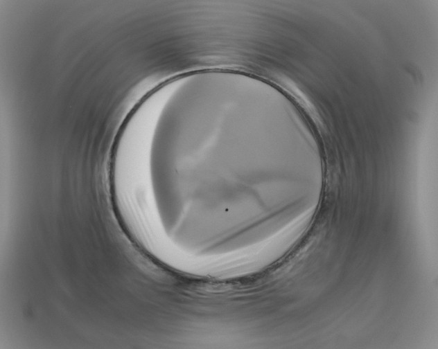 X0000112971291200909241319