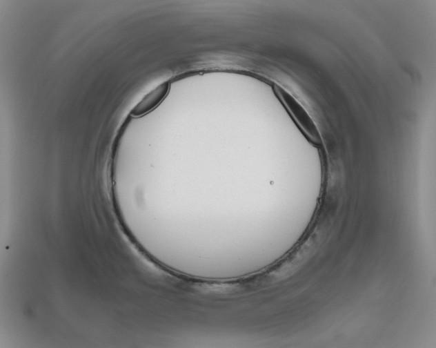 X0000112971293200909241319