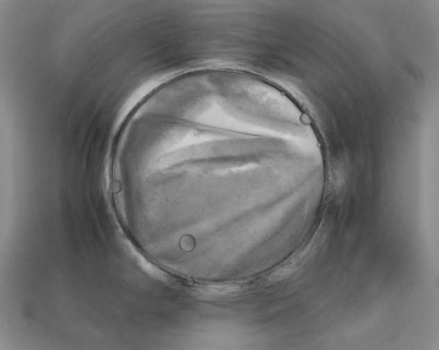 X0000112971294200909241319