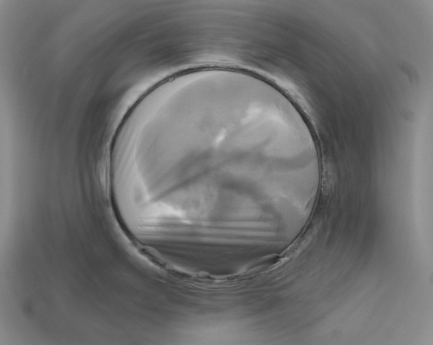 X0000112971295200909241319