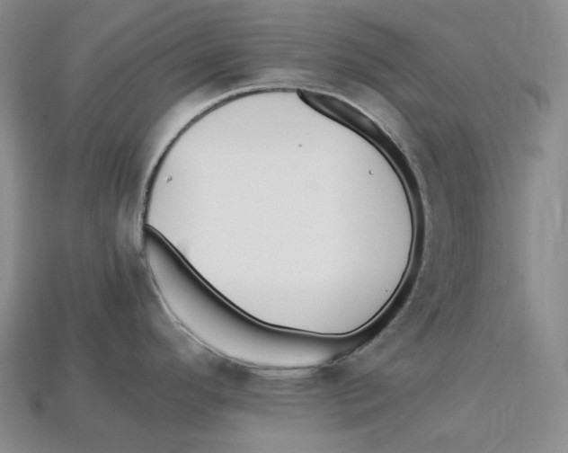 X0000112971296200909241319