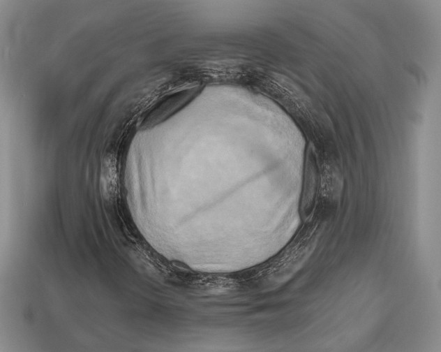 X0000112971298200909241318