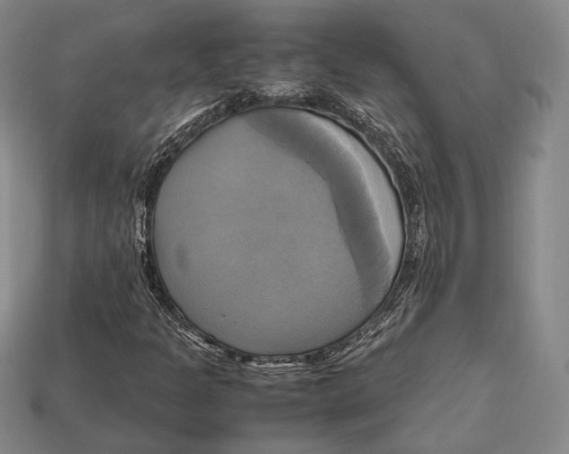 X0000112971301200909241318