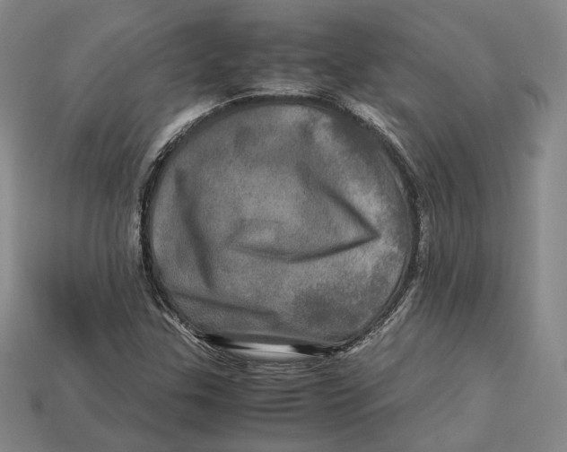 X0000112971307200909241319