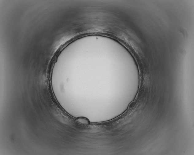 X0000112971308200909241319