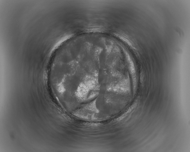 X0000112971309200909241319
