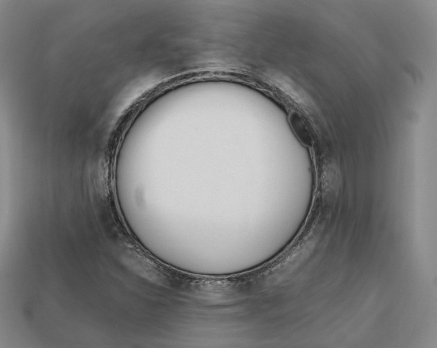 X0000112971310200909241319