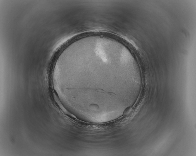 X0000112971311200909241319