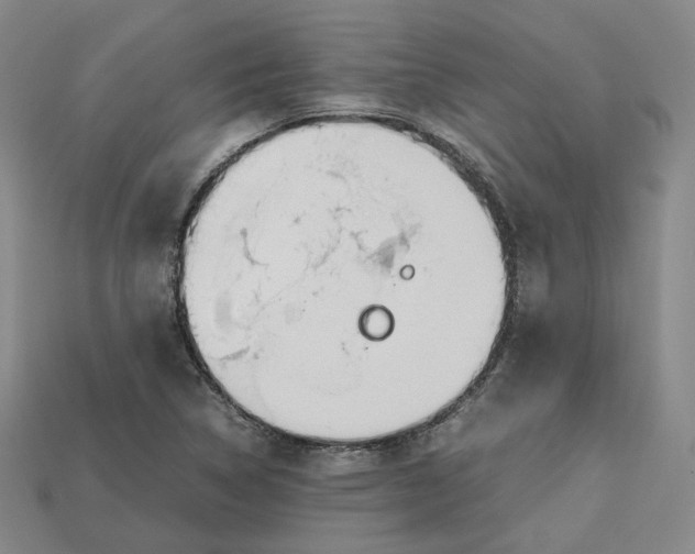 X0000112971314200909241319