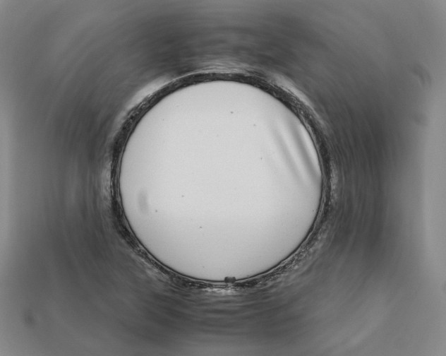 X0000112971315200909241319