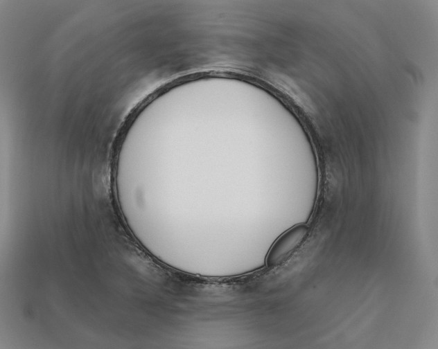 X0000112971316200909241319