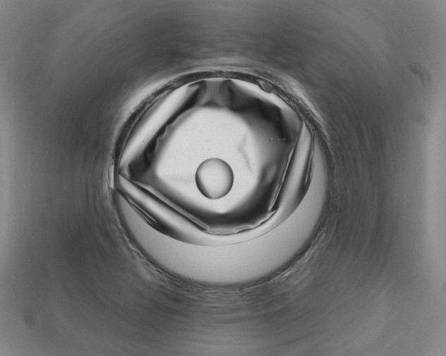 X0000112971320200909241319