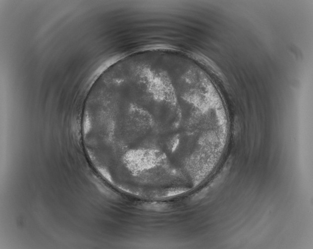 X0000112971321200909241319