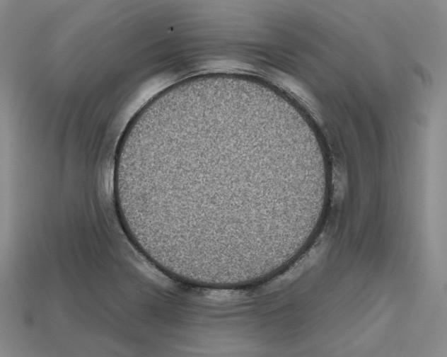 X0000112971322200909241319