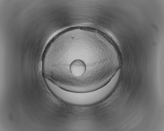X0000112971324200909241319