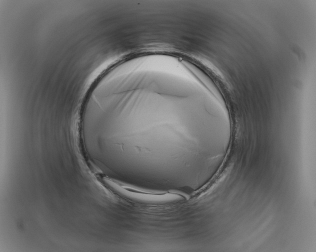 X0000112971325200909241319