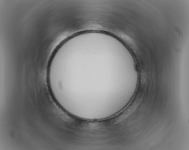 X0000112971326200909241319