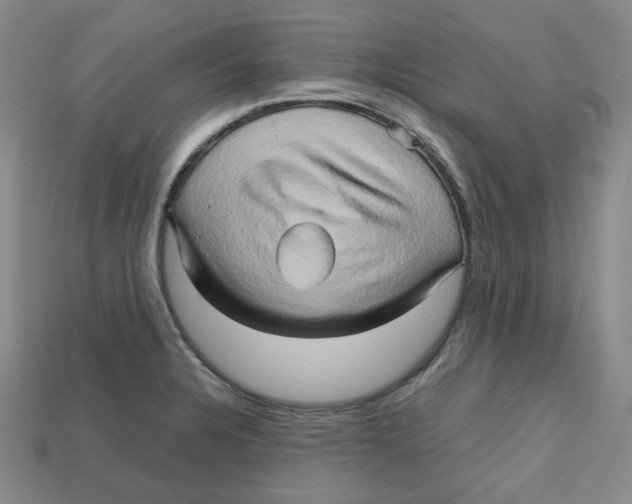 X0000112971328200909241319
