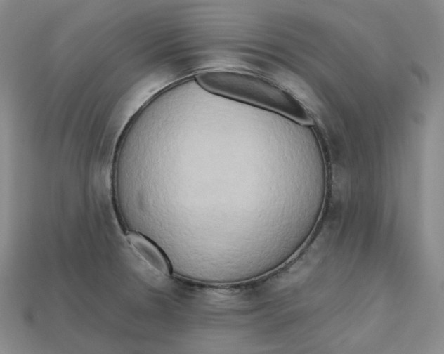 X0000112971330200909241319