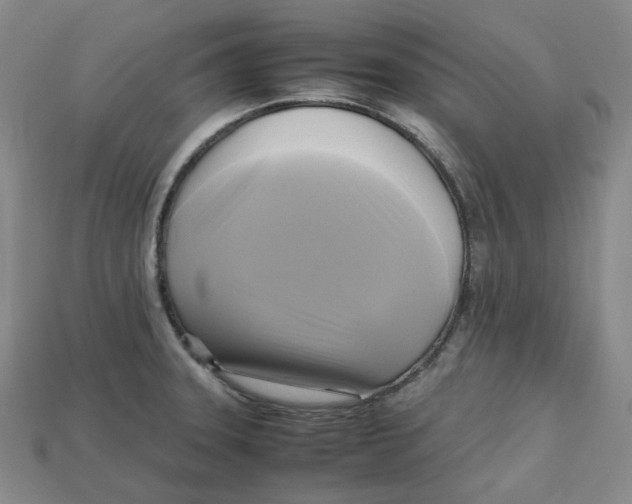 X0000112971331200909241319