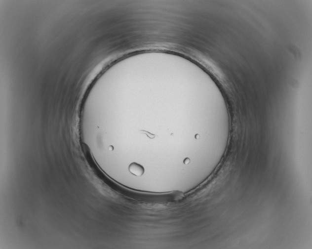 X0000112971332200909241319