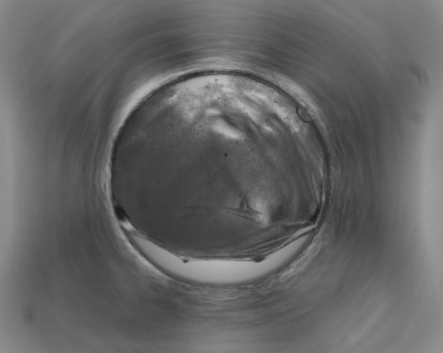 X0000112971334200909241319